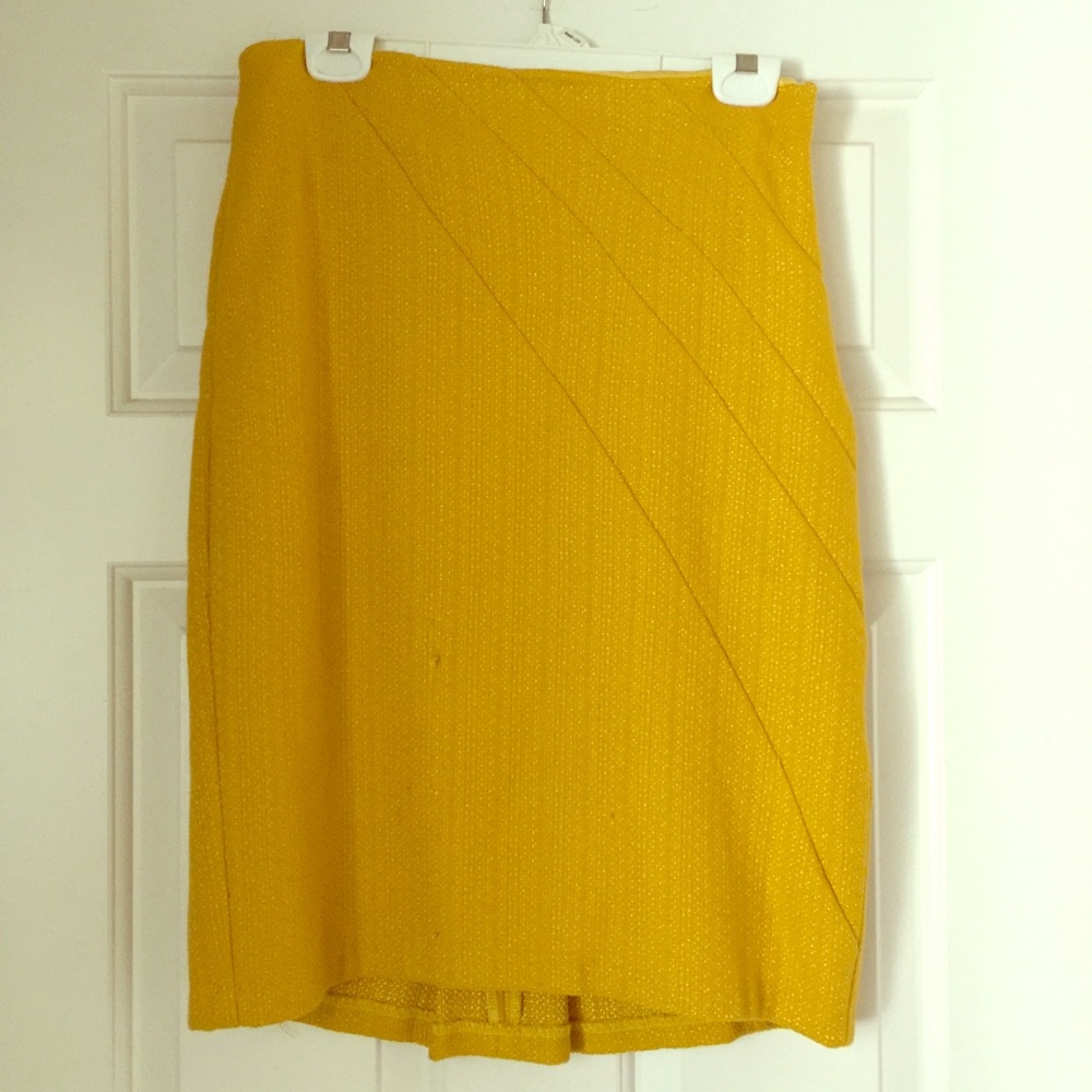 Anthropologie Eva Franco skirt size 8